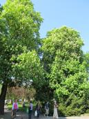 Maturzyści zaczynają egzaminy od języka polskiego