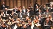 Koncert oratoryjny Mozarta, Gorzowski Splin, KORTEZ