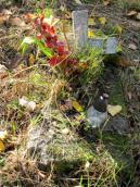 O ratunek dla cmentarza świętokrzyskiego tu chodzi