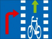 Świąteczna Masa Rowerowa na ulicach miasta