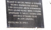 „Oswobodzenie Gorzowa z pod wiekowego jarzma germańskiego”