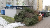 Instrukcja obsługi świątecznej choinki po świętach