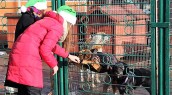 INNEKO społecznie odpowiedzialna