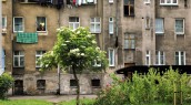 Będą remonty, ale i rewitalizacja podwórek