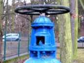 Na Inowrocławskiej, Międzychodzkiej i Sierakowskiej zabraknie wody