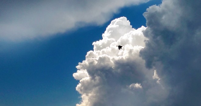 medium_news_header_20981.jpg