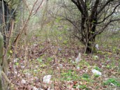 Zaśmiecenie kosztuje, sprzątanie też