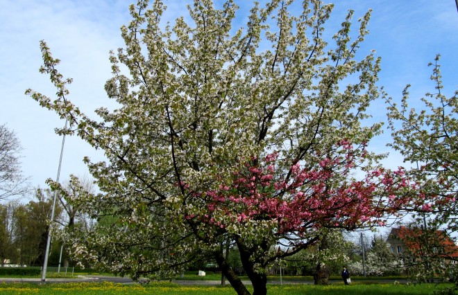 medium_news_header_21648.jpg