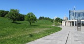 Żeby nie było, że trawa, krzewy i drzewa nie są naszą sprawą