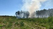 Wysokie zagrożenie pożarowe w lasach