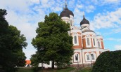 Miasto bajkowych wież i kamieniczek oraz białych nocy
