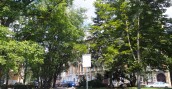 Miasto szykuje kolejne rewitalizacje zieleni