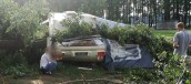Drzewo przygniotło przyczepę campingową z chłopcem w środku