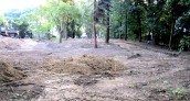 Ścieżka spacerowo-rowerowa przy Kłodawce