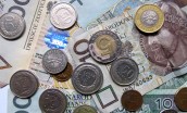 Na wygranej Jacka Wójcickiego nie da jednak się zarobić