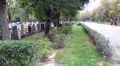 Przygotowania do 1 listopada przez nowego gospodarza