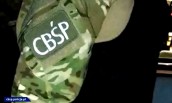 Rozbito zorganizowaną grupę przestępczą „Ziela”