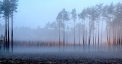 Oświatowy walec niczego tu chyba nie wyrówna