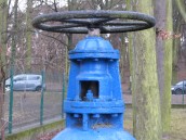 Na Małej i Skarżyńskiego zabrakło wody