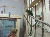 To już drugie urodziny Fun Jump Gorzów