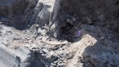 Piknik Paleontologiczny z nosorożcem w roli głównej
