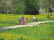 W tej sprawie panuje w mieście wstydliwa cisza