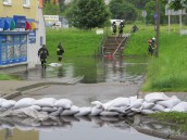 Takie są prawa zmieniającej się natury