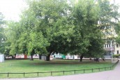 Skwer upamiętniający wydarzenia sierpniowe