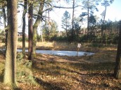 Każda pora roku jest tutaj wyzwaniem