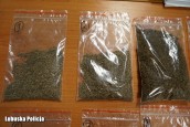 Zatrzymany podczas pakowania narkotyków