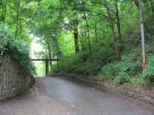 Park Siemiradzkiego lepiej na razie omijać