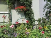 Gorzowskie piękne balkony i domy w ogrodach