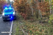 Śmiertelnie potrącił i uciekł z miejsca wypadku
