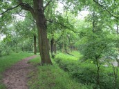Podkreślona będzie naturalna dzikość i piękno