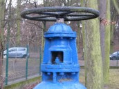 Na Obrońców Pokoju awaria wodociągu