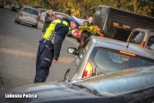 Podsumowanie akcji ZNICZ 2019 w woj. lubuskim