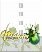 Osiedle Słoneczne zamienia się cały czas