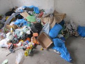 Drożeją śmieci, ale częściej będą  wywożone