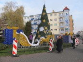 Choinek i karpi na święta  nam nie zabraknie