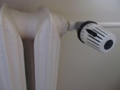 Gorzowianie coraz lepiej radzą z KAWKĄ