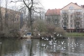 Park Wiosny Ludów został już odnowiony