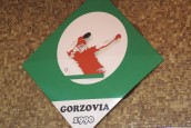 Jest nowy prezes Gorzovii