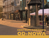 Raport "Centrum Gorzowa OD-NOWA"
