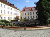 AJP chce kształcić pielęgniarki