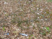 Kryje się tam życie, które trzeba nam ratować