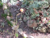 Gadanie o ocieplaniu klimatu to chyba bujda?