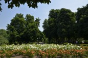 Gorzów bez plastiku na miejskich imprezach