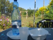 Smaczne talerze i miski z otrąb zamiast plastiku