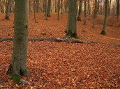 Bać się nam trzeba w sposób mądry i rozsądny