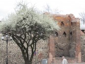 Nowe zasady bezpieczeństwa w związku z koronawirusem